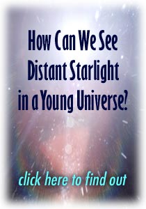How Can We See Distant Starlight in a Young Universe